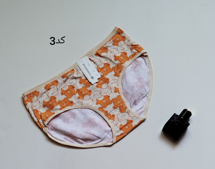 شورت هانی طرح خرس تدی 🐻