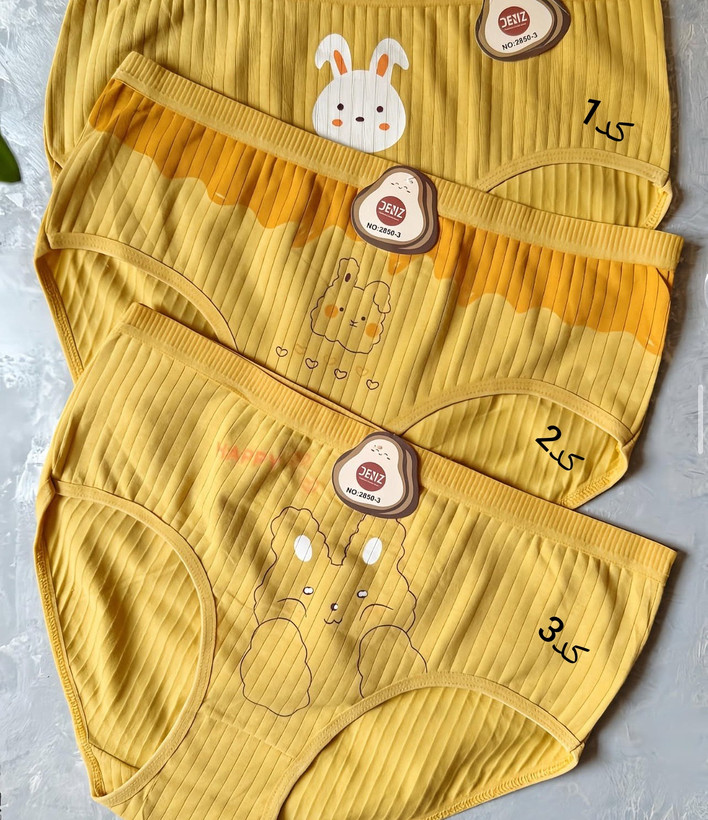 شورت زنانه نخ پنبه طرح عروسکی تدی