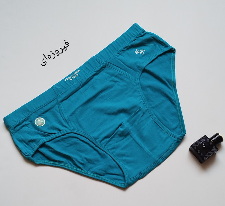 شورت تک مردانه اسلیپ فاق کوتاه مردانه برند بیژن کد 377