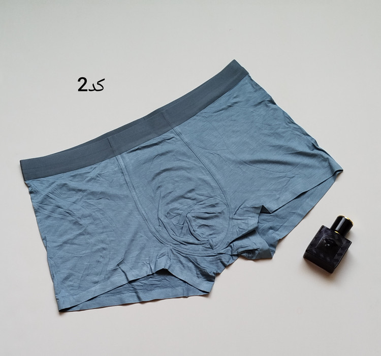 شورت گیاهی مردانه پادار