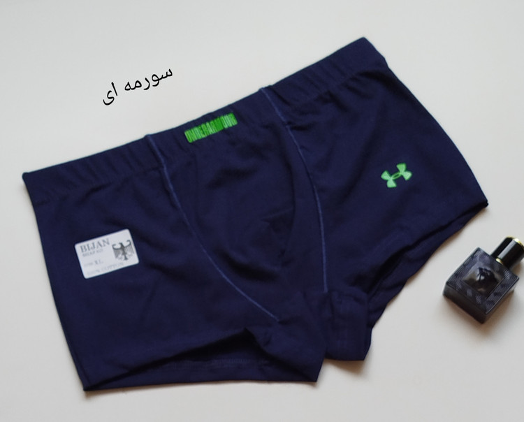 شورت مردانه نیم پا فاق بلند | نخ پنبه | برند بیژن با لوگوی Calvin Klein کیفیت عالی