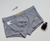 شورت مردانه نیم پا فاق بلند | نخ پنبه | برند بیژن با لوگوی Calvin Klein کیفیت عالی