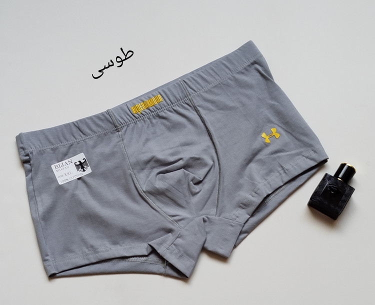 شورت مردانه نیم پا فاق بلند | نخ پنبه | برند بیژن با لوگوی Calvin Klein کیفیت عالی